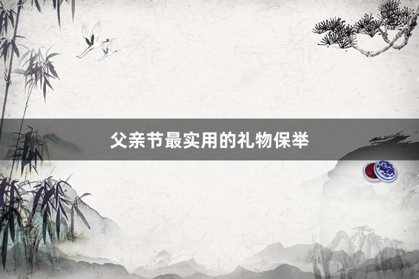父亲节最实用的礼物保举